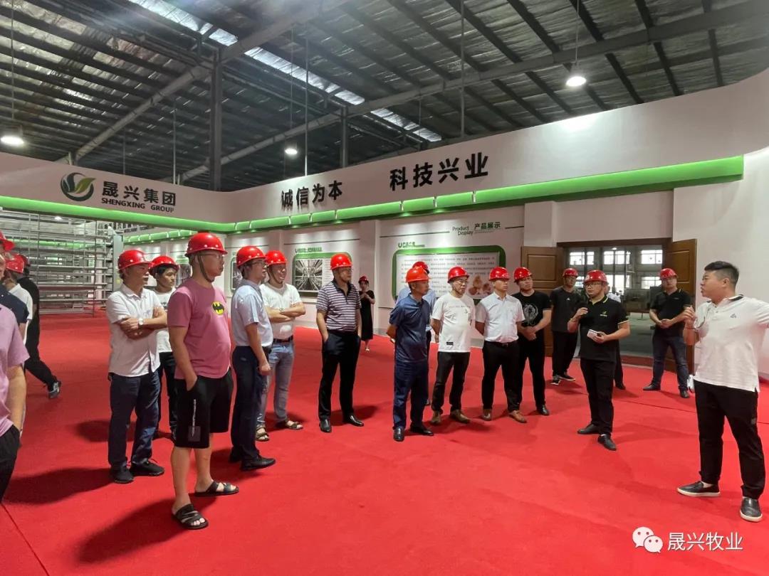 ¿Ê±|AG(AsiaGaming)ÓÅÖÊÔËÓªÉÌ