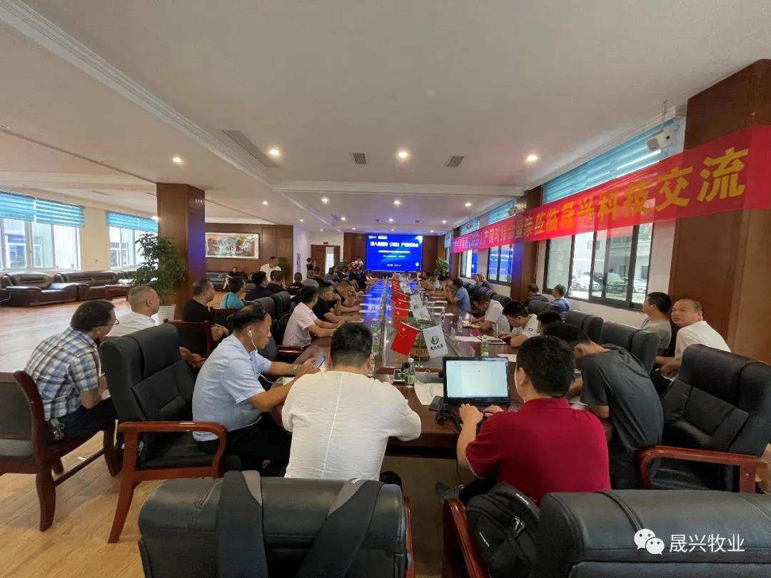 ¿Ê±|AG(AsiaGaming)ÓÅÖÊÔËÓªÉÌ