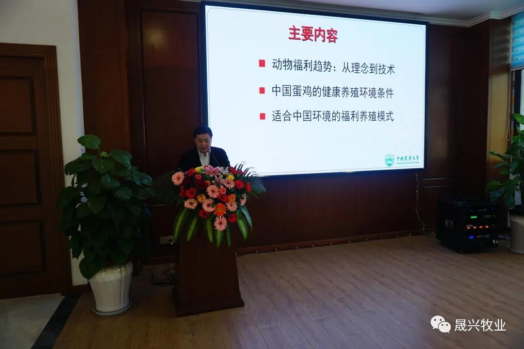 ¿Ê±|AG(AsiaGaming)ÓÅÖÊÔËÓªÉÌ