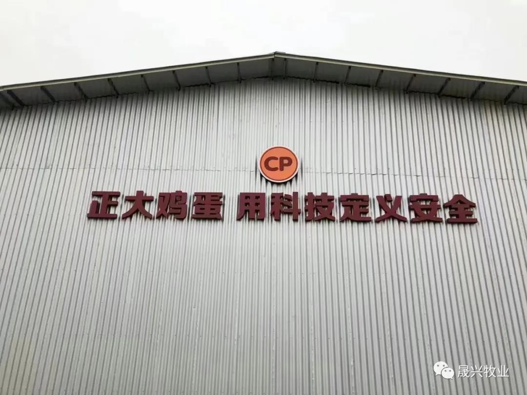 ��ʱ|AG(AsiaGaming)������Ӫ��