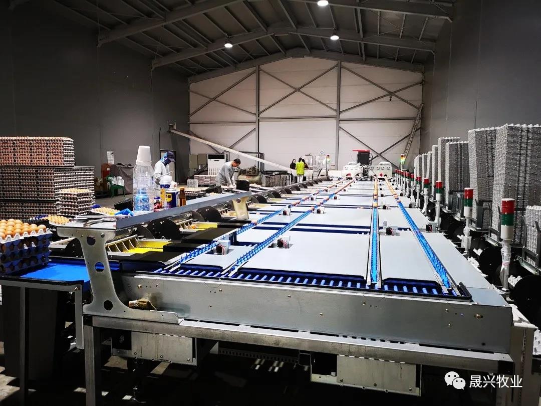 ¿Ê±|AG(AsiaGaming)ÓÅÖÊÔËÓªÉÌ