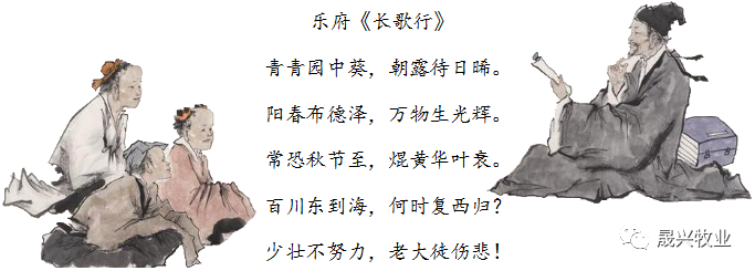 ¿Ê±|AG(AsiaGaming)ÓÅÖÊÔËÓªÉÌ