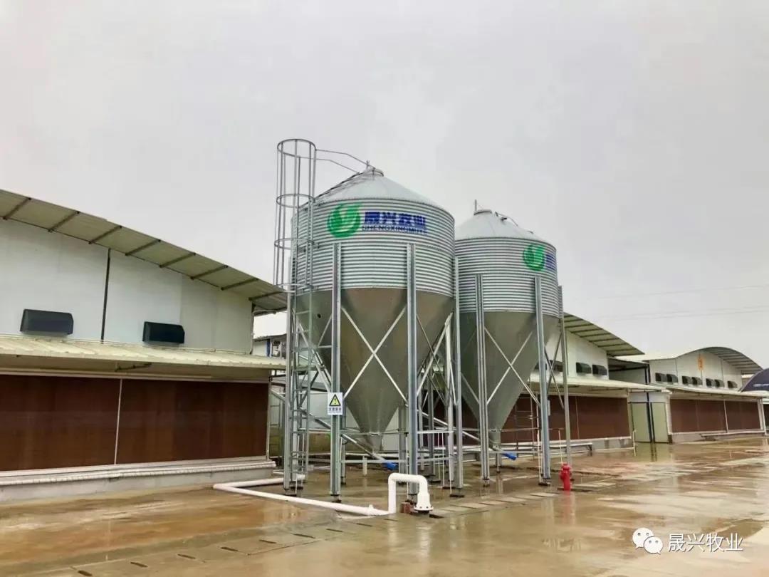 ��ʱ|AG(AsiaGaming)������Ӫ��