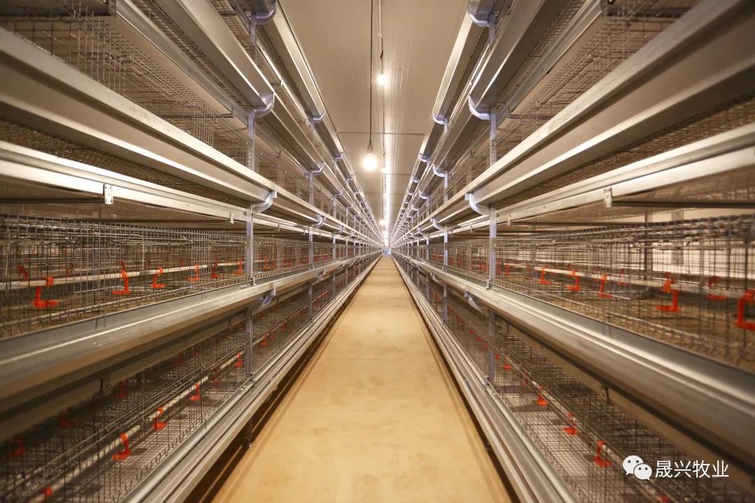 ¿Ê±|AG(AsiaGaming)ÓÅÖÊÔËÓªÉÌ