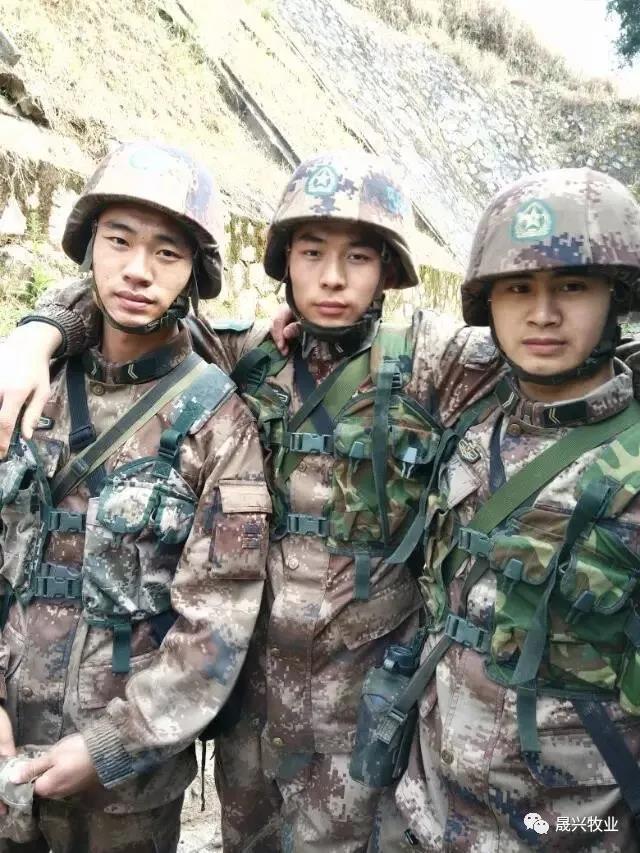 ��ʱ|AG(AsiaGaming)������Ӫ��