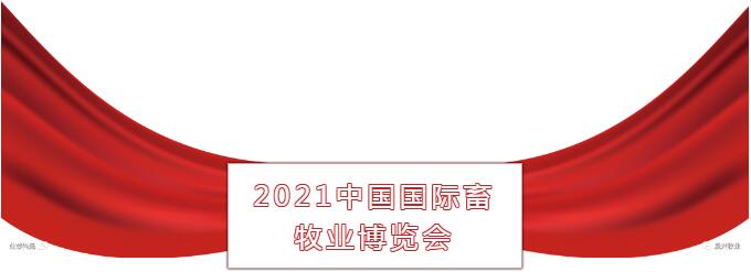 ¿Ê±|AG(AsiaGaming)ÓÅÖÊÔËÓªÉÌ