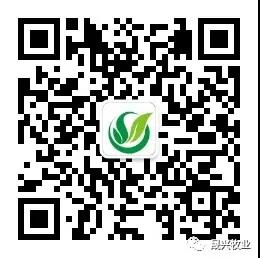 ¿Ê±|AG(AsiaGaming)ÓÅÖÊÔËÓªÉÌ