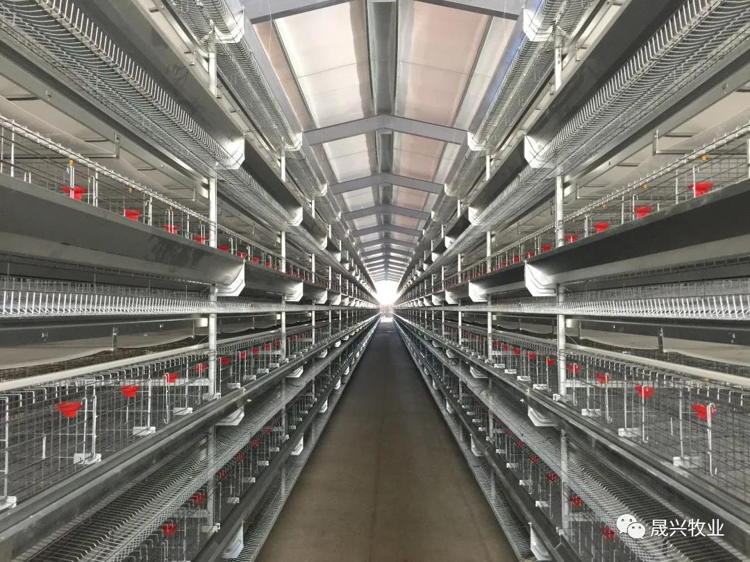 ¿Ê±|AG(AsiaGaming)ÓÅÖÊÔËÓªÉÌ