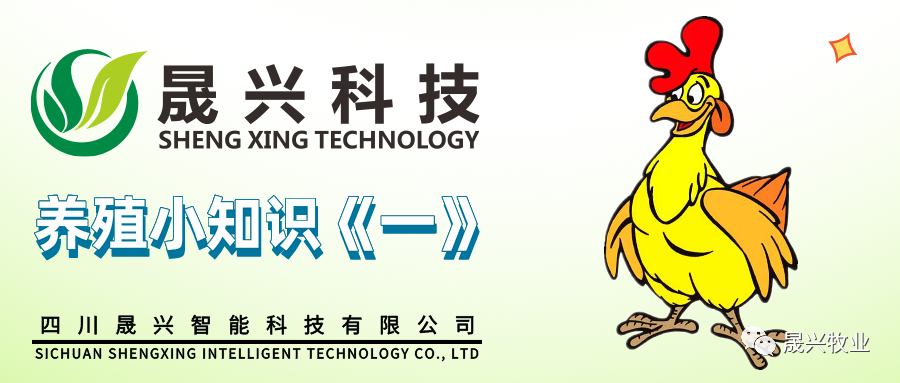 ��ʱ|AG(AsiaGaming)������Ӫ��