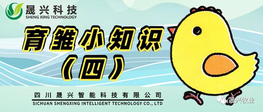 ¿Ê±ÓÅÖÊÔËÓªÉ̼¯ÍÅ ¿Ê±ÓÅÖÊÔËÓªÉ̼¯ÍÅ