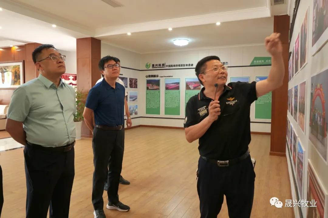 ¿Ê±|AG(AsiaGaming)ÓÅÖÊÔËÓªÉÌ