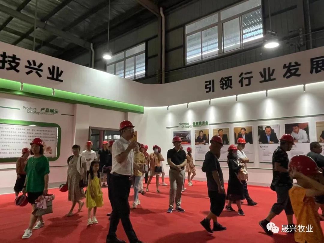 ¿Ê±|AG(AsiaGaming)ÓÅÖÊÔËÓªÉÌ