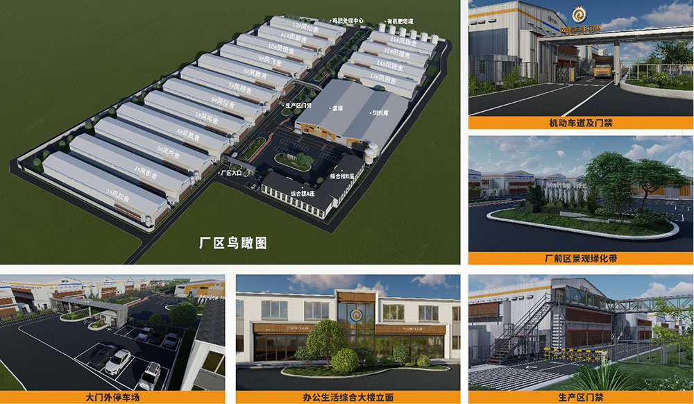 ��ʱ|AG(AsiaGaming)������Ӫ��