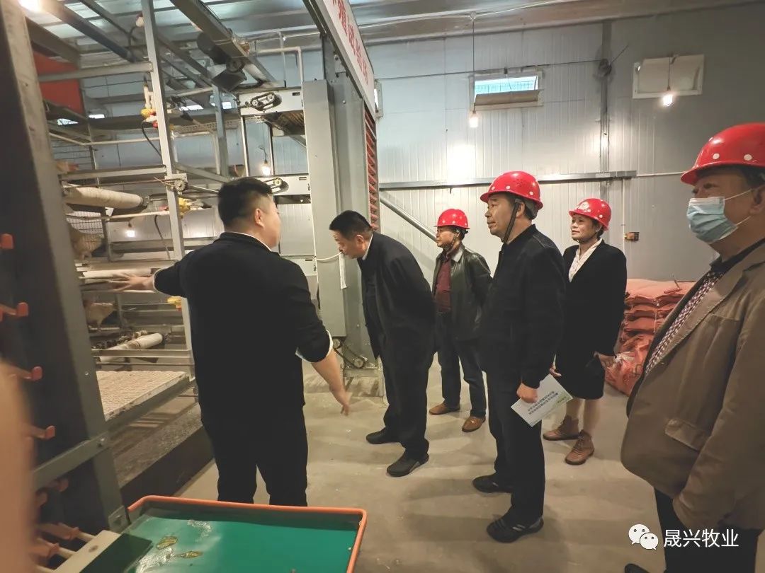 ��ʱ|AG(AsiaGaming)������Ӫ��