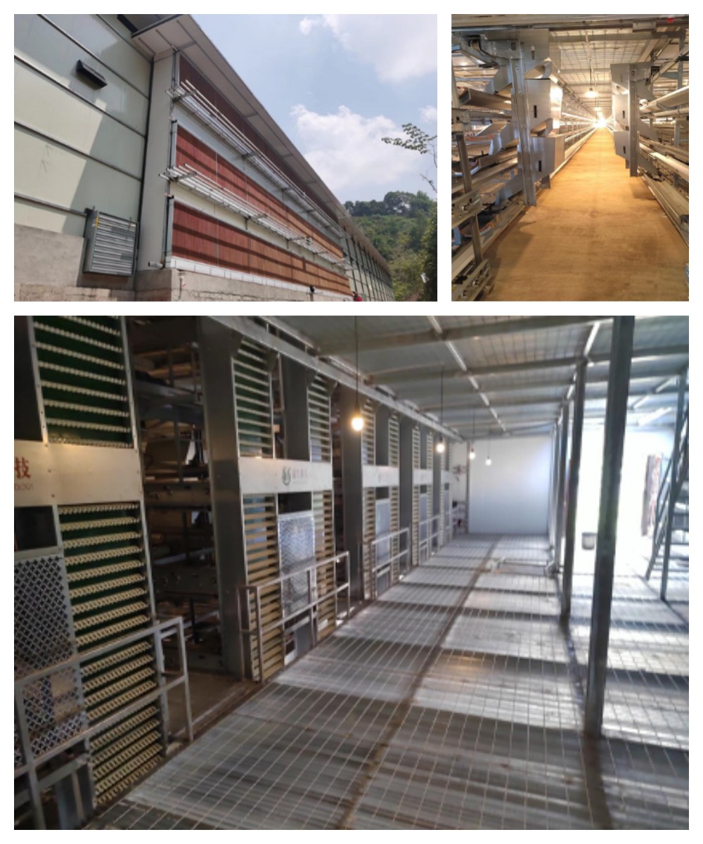 ¿Ê±|AG(AsiaGaming)ÓÅÖÊÔËÓªÉÌ