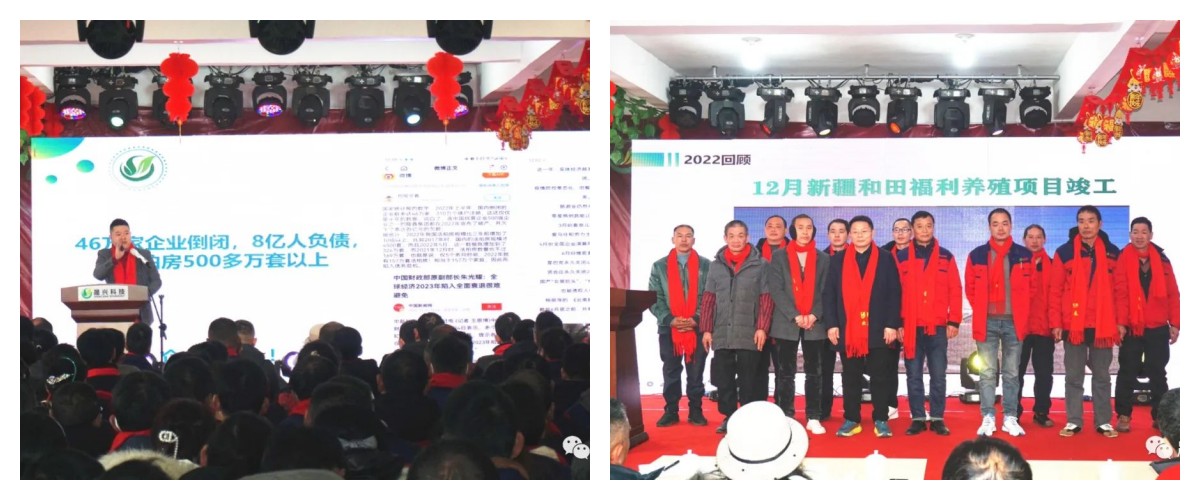 ¿Ê±|AG(AsiaGaming)ÓÅÖÊÔËÓªÉÌ