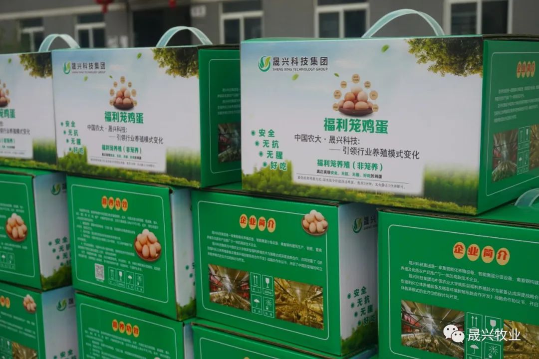 Ñø¼¦É豸 Ñø¼¦É豸