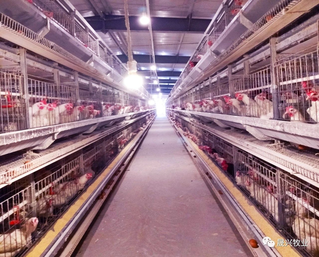 ������ֳ�豸