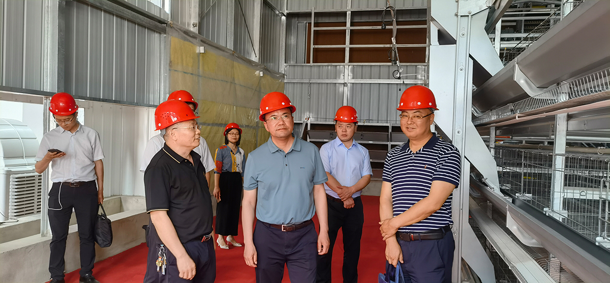 Ñø¼¦É豸 Ñø¼¦É豸