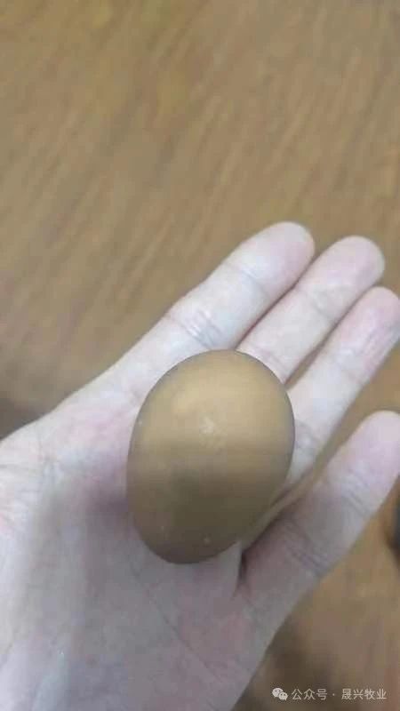 ��ʱ|AG(AsiaGaming)������Ӫ��