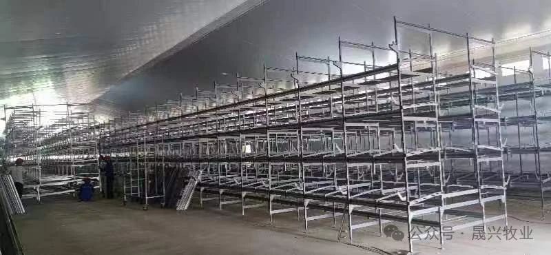 ��ʱ|AG(AsiaGaming)������Ӫ��