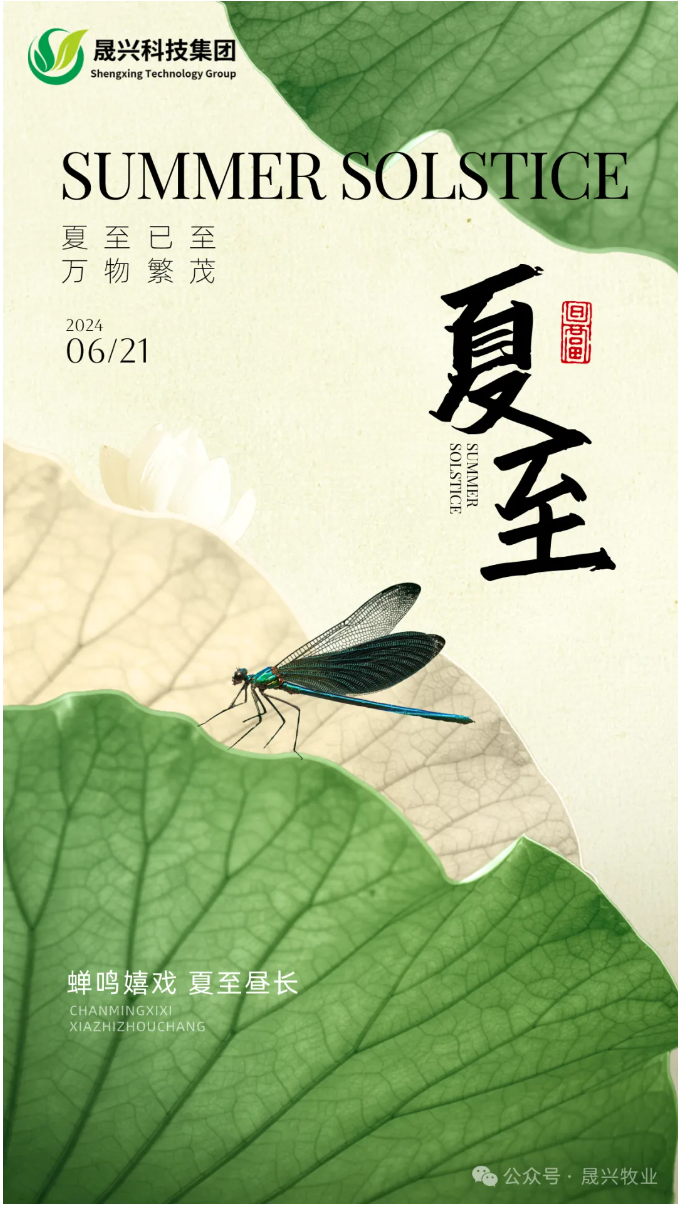 ¿Ê±|AG(AsiaGaming)ÓÅÖÊÔËÓªÉÌ