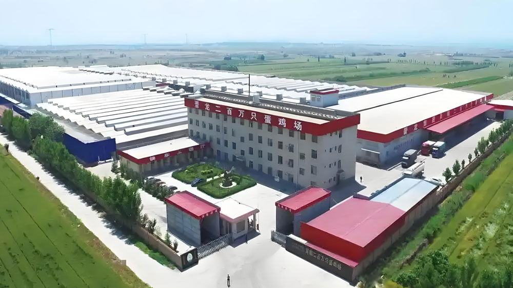 山西晋龙集团——运城吴嘱鸡场200万羽蛋鸡项目