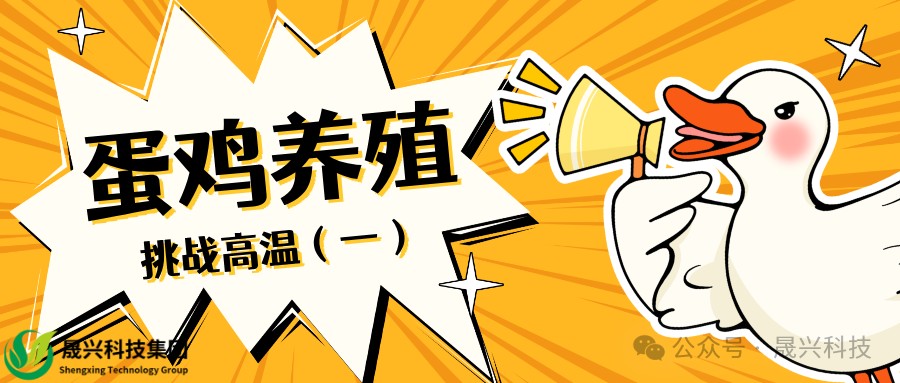 a26b98d86da207be70117f9a84c6f5d5 凯时|AG(AsiaGaming)优质运营商