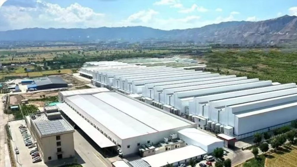 山西晋龙集团——运城佛峪口鸡场10层300万羽蛋鸡项目