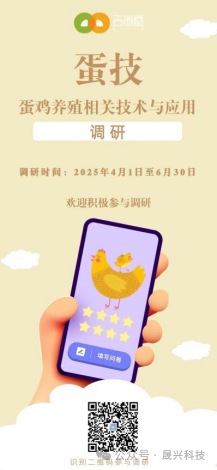 养鸡设备