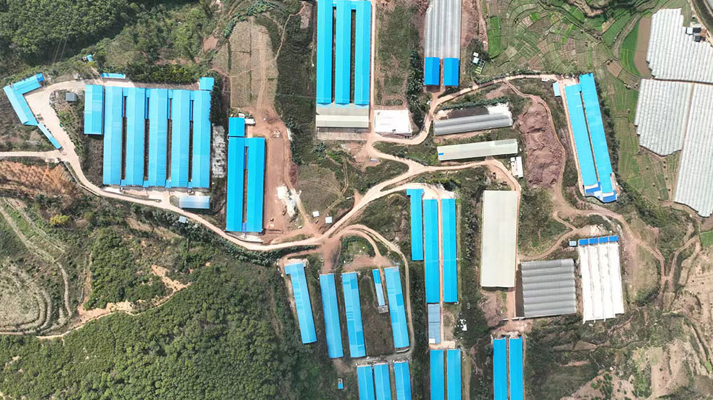 7e9b39e69ab6c0f44f96277b68df7e4a